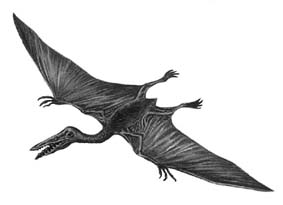 Птерозавр